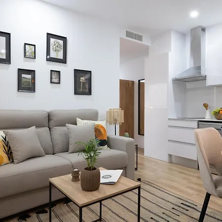 Dormforyou Arena Delux